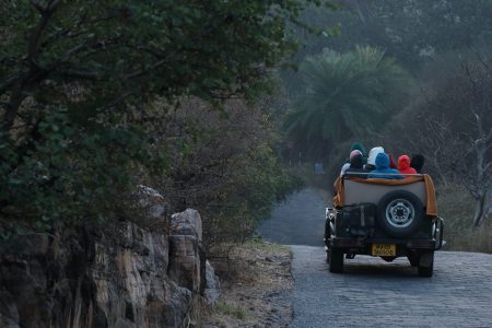 Golden Triangle with Royal Safari