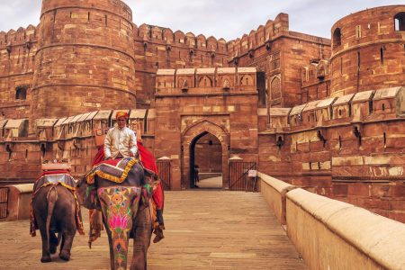 Short Golden Triangle Tour