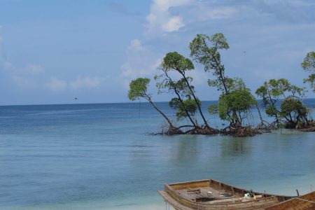 Andaman Budget Package