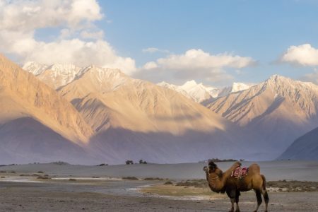 Magical Ladakh Tour Package