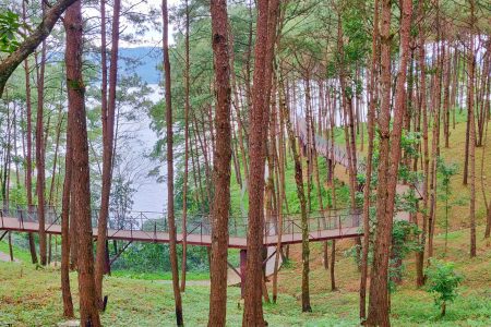 Cherrapunjee, Shillong,Kaziranga National Park & Guwahati