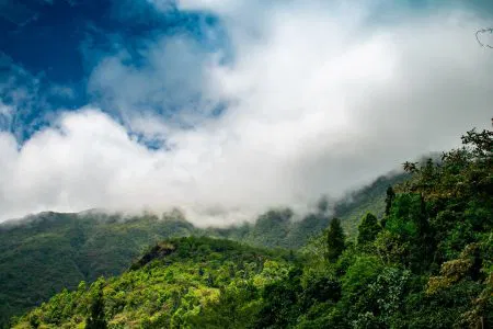 Gangtok with Darjeeling