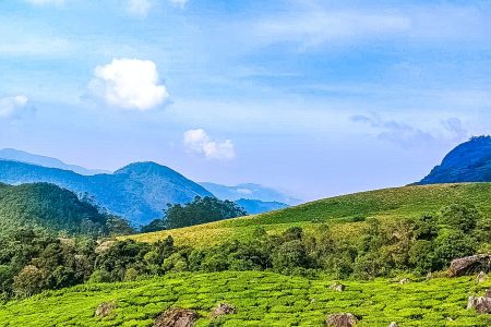 Exotic Kerala