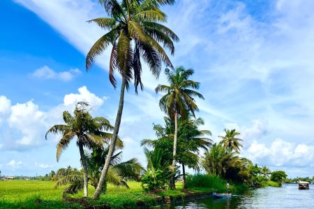 Munnar, Thekkady, Alleppey, Cochin