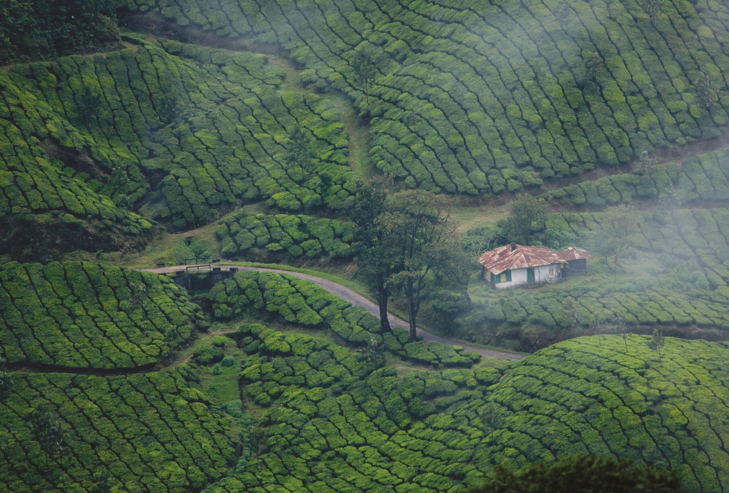 Kerala – 05 Nights & 06 Days (Trivandrum Departure)